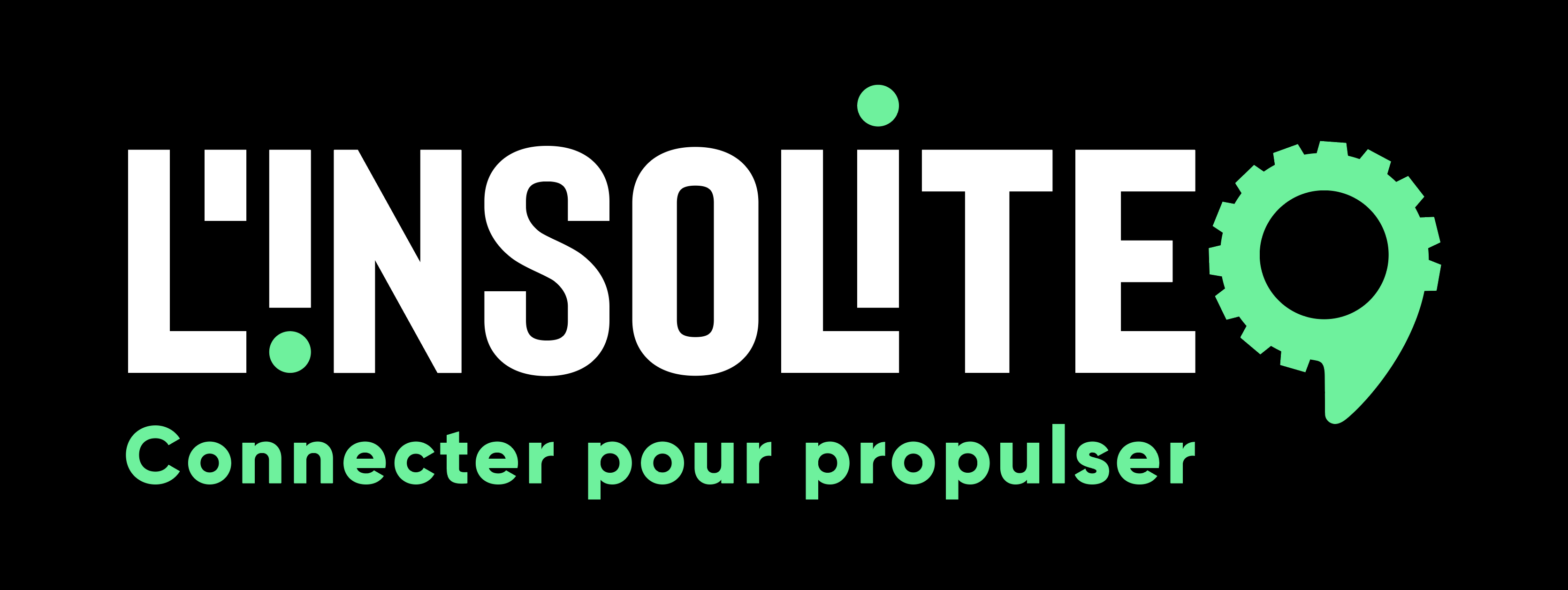 Logo-L'insolite